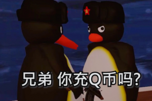 你冲q币吗是什么意思