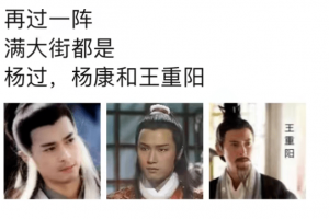 在下杨过是什么意思