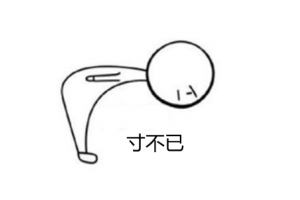 寸不己是什么意思