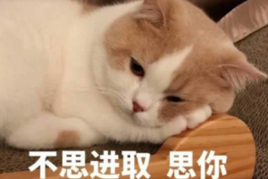 暧昧拉扯是什么意思