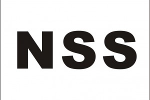 nss是什么意思