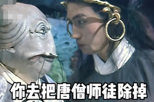 你去把唐僧師徒除掉是什么意思
