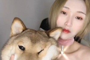 妈妈的好大儿是什么意思