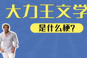 大力王文學(xué)是什么意思