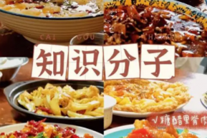 知食分子是什么意思