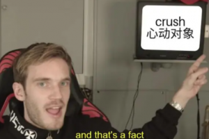 crush是什么意思