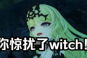 你驚擾了witch是什么意思