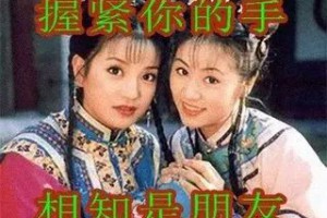 “塑料姐妹花”是什么意思