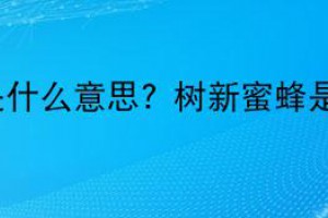 树新蜜蜂是什么意思