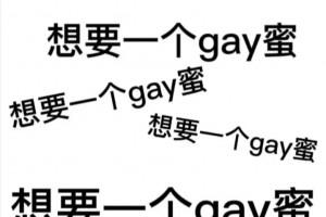 Gay蜜是什么意思