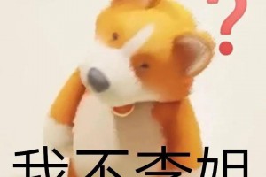 我不李姐是什么意思