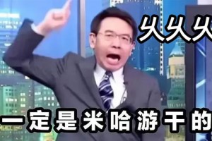 一定是米哈游干的是什么意思