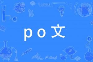 po文是什么意思