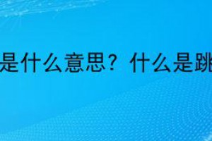 跳票選舉是什么意思