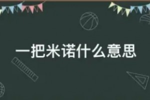一把米諾是什么意思