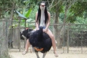 鴕鳥女孩是什么意思