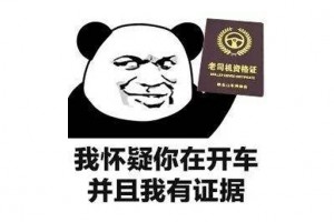 我怀疑你在开车并且我有证据是什么意思
