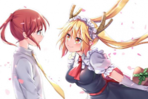 百合豚是什么意思