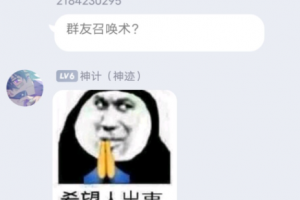 群友召喚術(shù)是什么意思