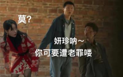 妍珍瘋驢子