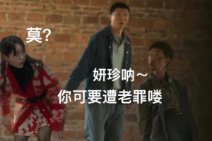 妍珍瘋驢子是什么意思