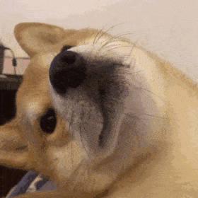 开水是钝角