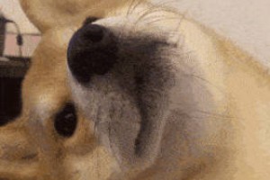 開水是鈍角是什么意思