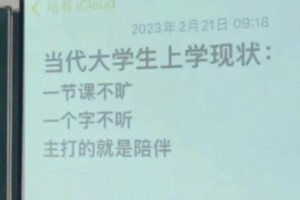 主打的就是陪伴是什么意思
