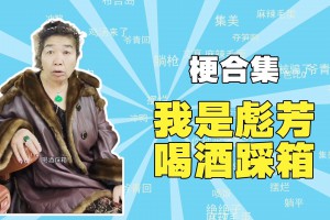 我是彪芳是什么意思
