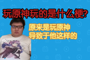 玩原神玩的是什么意思