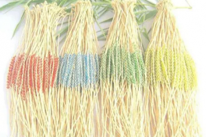 拉菲草夫婦是什么意思