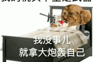 枕頭下面全是武器是什么意思