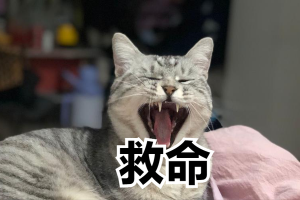 9m是什么意思