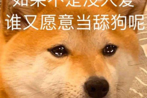 8424268是什么意思