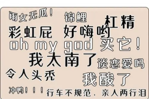 刻進(jìn)DNA里的XX是什么意思