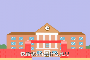 skr是什么意思