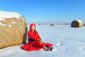 塞北的雪是什么意思