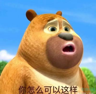 北極光工作室