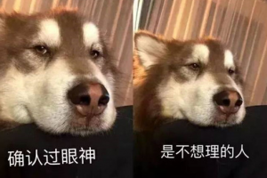 確認(rèn)過(guò)眼神是什么意思