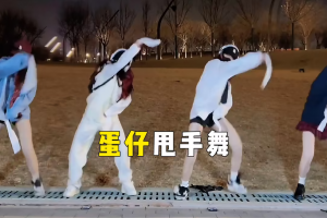 蛋仔甩手舞是什么意思