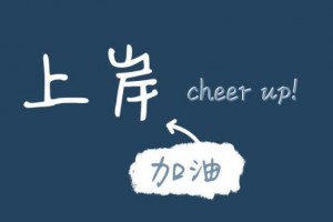 上岸是什么意思