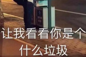 你是什么垃圾是什么意思