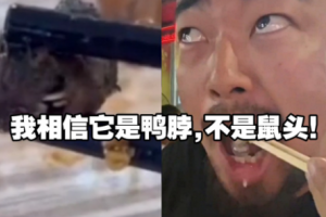 老鼠鴨是什么意思