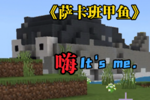 萨卡班甲鱼是什么意思
