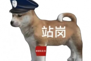 站崗小狗是什么意思