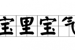 寶里寶氣是什么意思
