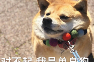 戀愛(ài)終結(jié)者是什么意思