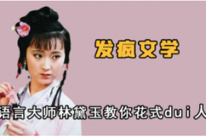 林黛玉发疯文学是什么意思
