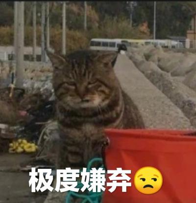 咦惹