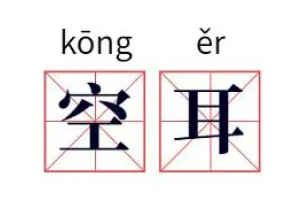 空耳是什么意思